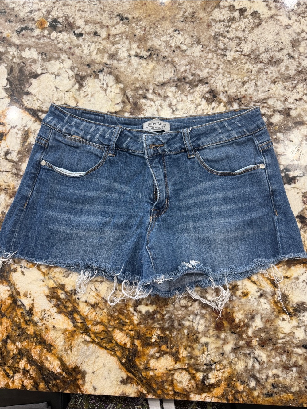 Judy Blue Raw Hem Denim Shorts - Blue